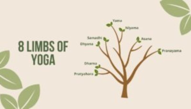8 limbs of yoga